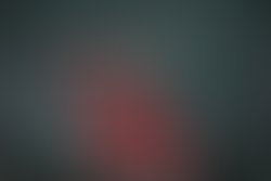 1407506031 4016780991808 1260445007 n