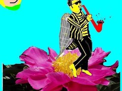 Image for Sleepy Bee and the Stingers