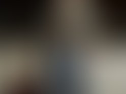 Roof pic web 1299175103