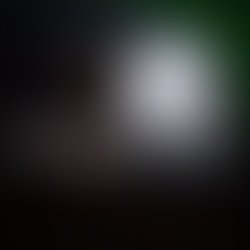 Flyermaker 28022020 224443