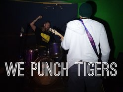 We Punch Tigers