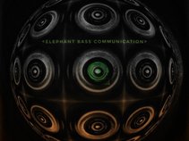 elephant bass communication