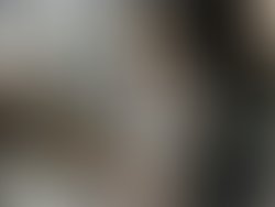 Fb img 1586825014670