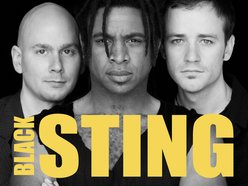 Image for Black Sting