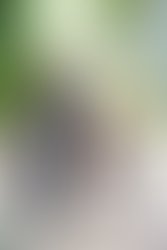 1451760261 f5fb69c305a967c849d3d2290cf12ee54f915c41