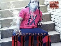 Northeast Beast