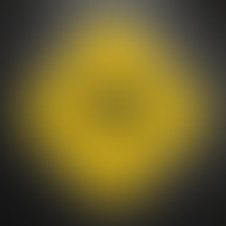 Wall stickers warning sign kangaroos sticker