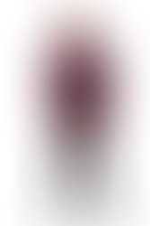 69ea95b995162f6efd08889e954d7aa3