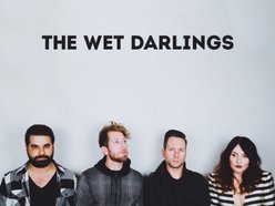 Image for The Wet Darlings