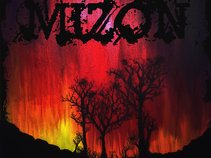 Mizon