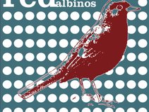 Red Albinos