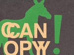 ReverbNation profile picture for @canopy