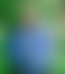 Screenshot 20210801 191831 messenger