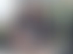 2a98cb2e 7c12 4944 8d78 2bfca13feafb