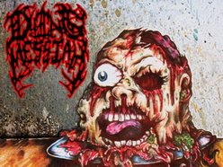 Image for DYING MESSIAH