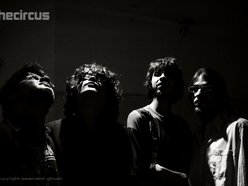 The Circus