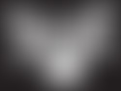 1322849694 v o a hawk logo