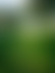 Inbound4811944923553341873