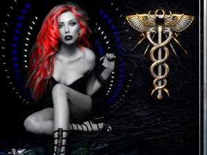 AMONN :: Shangrilla-Dolls™Media