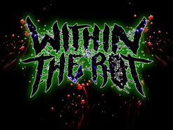 Image for Within The Rot