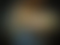 Guitar shot lomo 800