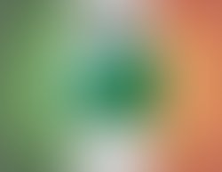 1361758562 wall 11x8 no info