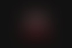 Rico gibson logo 1500x1000 black