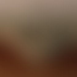 Mountaininverted whatif lo