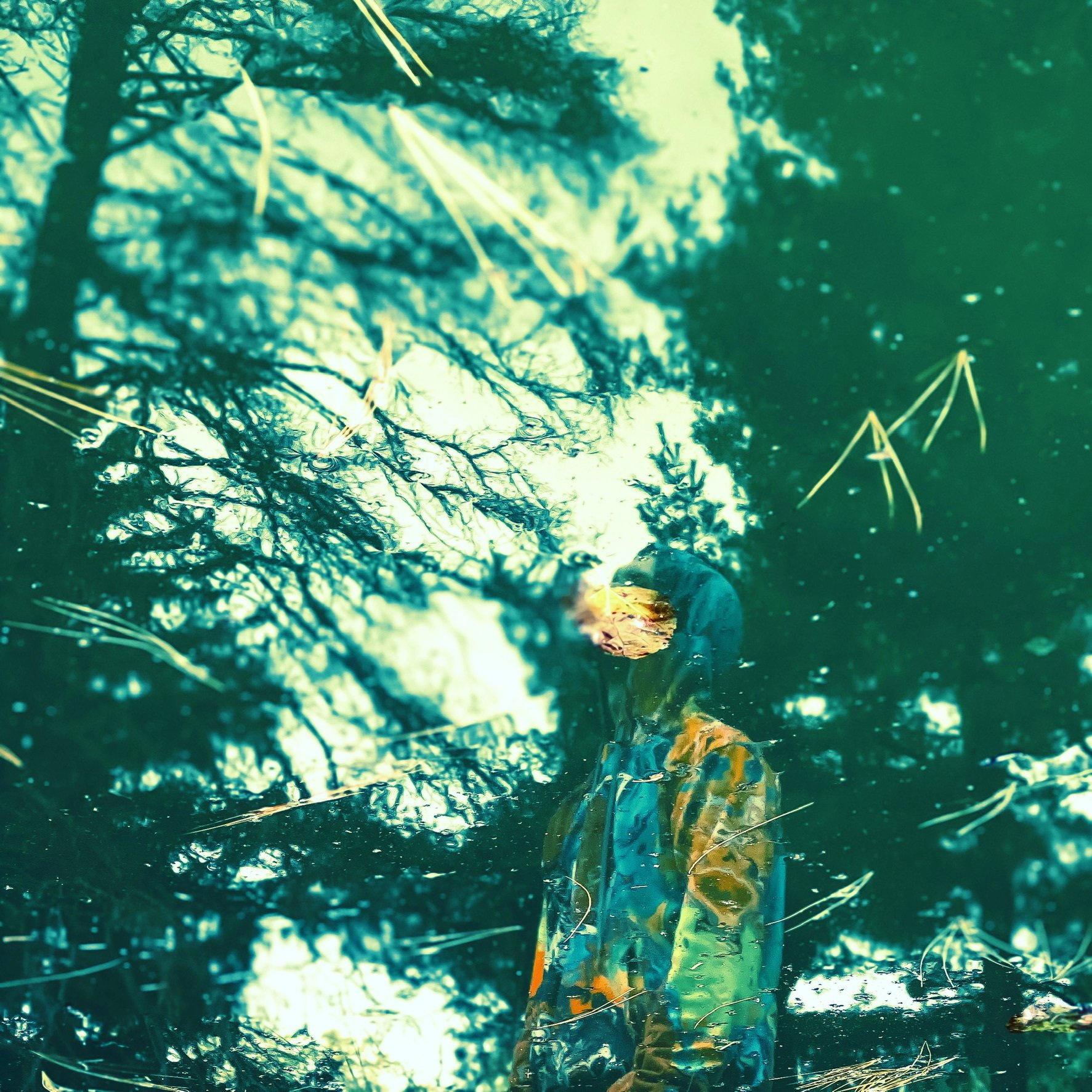 ReverbNation profile picture for @spiteful