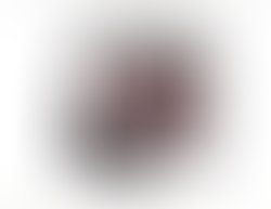 1373905876 the warning nolan