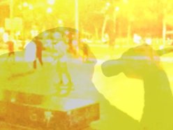 Summer Dance Project