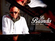 Lo Brandis