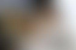 3296584622 singer and musician willie colon performs at the climate rally 1272368700