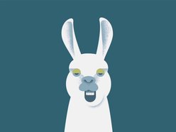 Lo-fi Llama