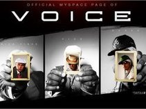 Voice Official