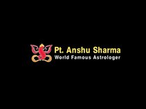 Astrologer Anshu Sharma