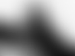 N766674261 742160 3081