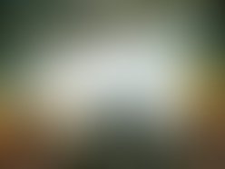 L 320a48c1b8e54999bda4f545590f6319 1268905696 1268905734