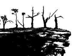 Image for Thorntyr