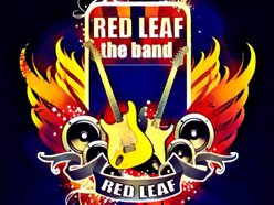 Image for Red Leaf