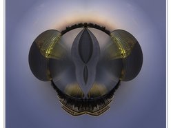 Image for On The Fly