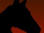 Image for The Old Mud Horse