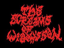 The screams of widow´s son