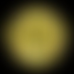 Golden day logo 1
