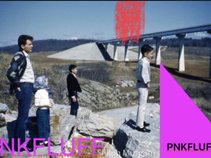 Pnkfluff