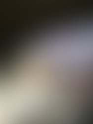 6fbacc5a fbd8 43a6 919c abb3e77a103a