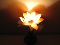 Ephemeral Light