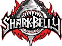 SharkBelly