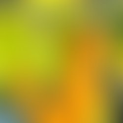 Img 20211029 200127 401