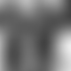 1ae9eaa2 81ec 40e5 8d76 785b04472107